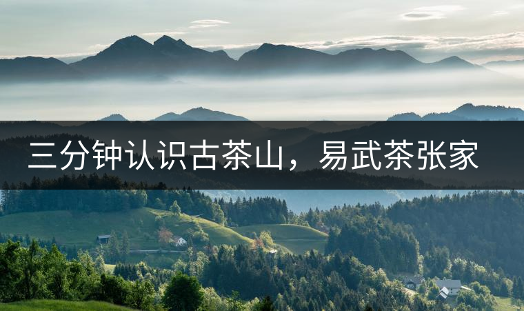 三分鐘認(rèn)識(shí)古茶山，易武茶張家灣寨普洱茶口感特點(diǎn)
