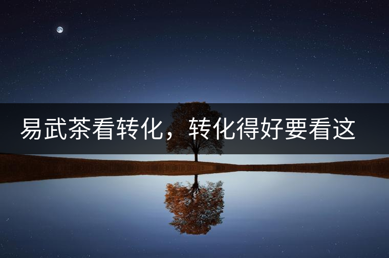 易武茶看轉(zhuǎn)化，轉(zhuǎn)化得好要看這三要素及品牌優(yōu)勢！