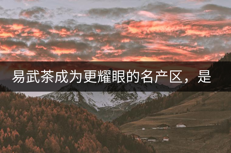 易武茶成為更耀眼的名產區(qū)，是歷史的回歸，是未來市場的必然導向