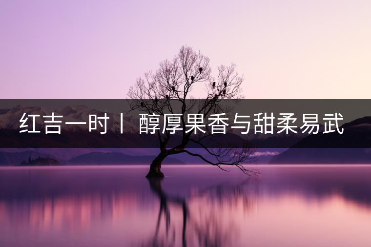 紅吉一時(shí)丨 醇厚果香與甜柔易武茶封存成溫煦風(fēng)味