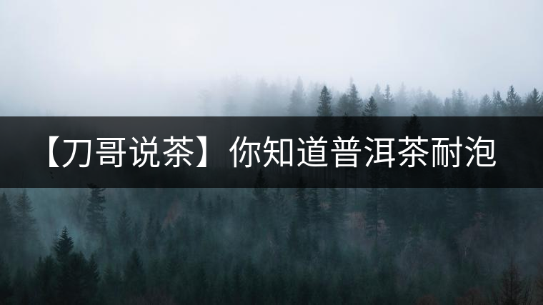 【刀哥說茶】你知道普洱茶耐泡，那你知道哪一類普洱茶比較耐泡？