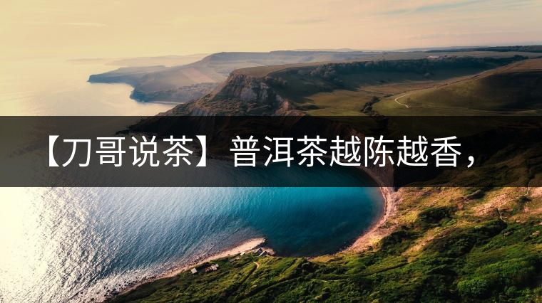 【刀哥說茶】普洱茶越陳越香，為什么新茶更受歡迎？