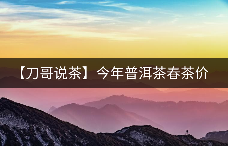 【刀哥說茶】今年普洱茶春茶價格，我不預測