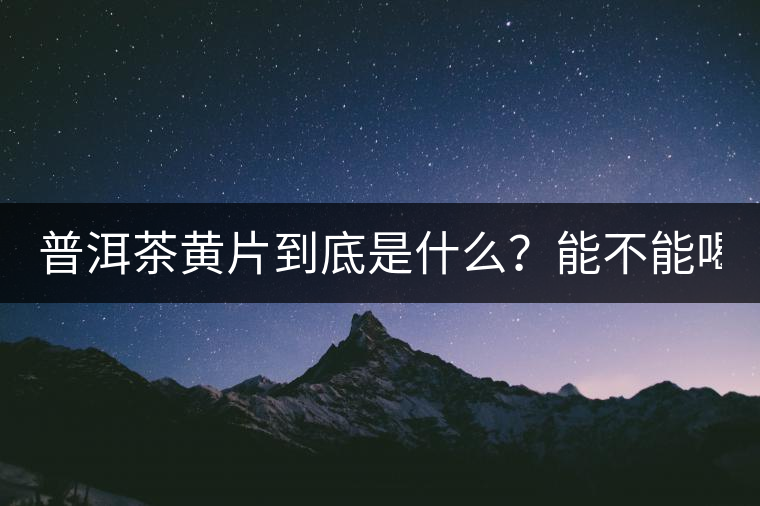 普洱茶黃片到底是什么？能不能喝？