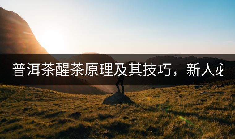普洱茶醒茶原理及其技巧，新人必備！