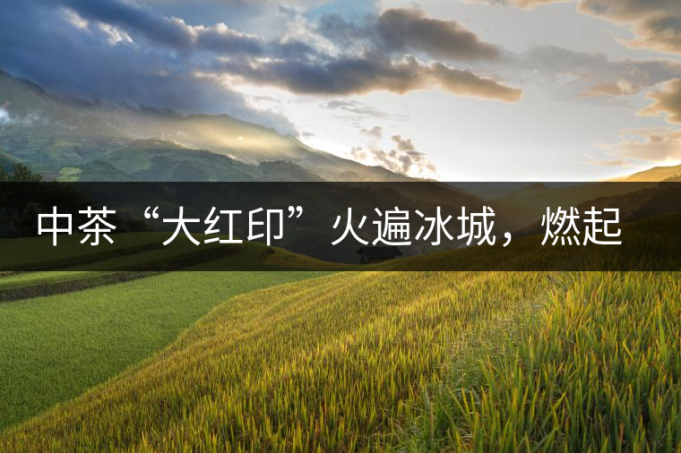 中茶“大紅印”火遍冰城，燃起普洱茶新味蕾