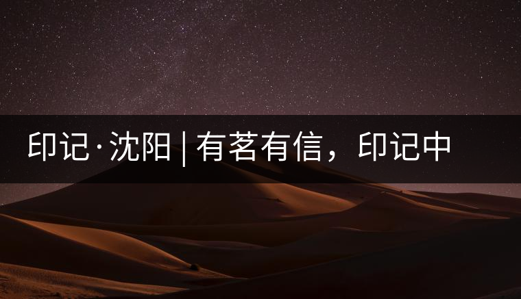 印記·沈陽(yáng) | 有茗有信，印記中茶，中茶普洱亮相沈陽(yáng)茶博會(huì)