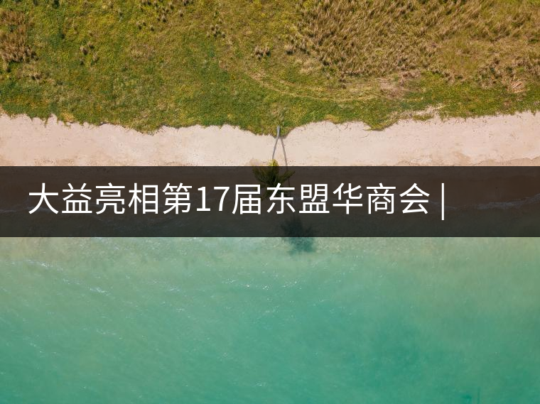 大益亮相第17屆東盟華商會 | 海內(nèi)外嘉賓共謀發(fā)展，共品大益茶