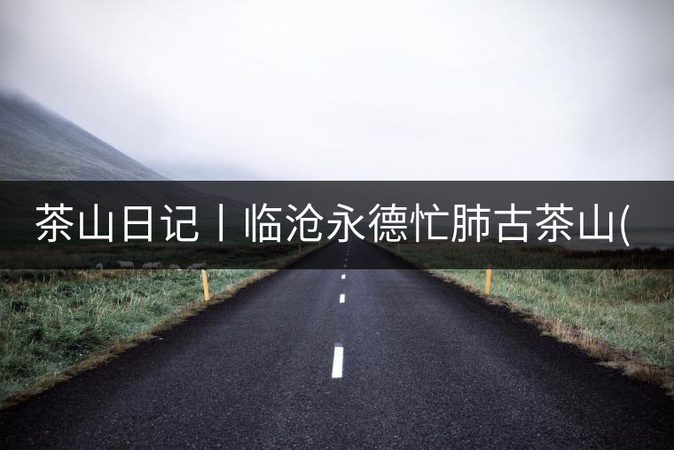 茶山日記丨臨滄永德忙肺古茶山(2)茶山日記丨臨滄永德忙肺古茶山（2）