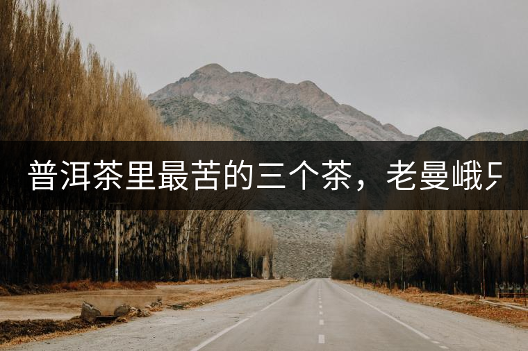 普洱茶里最苦的三個茶，老曼峨只能排第三！