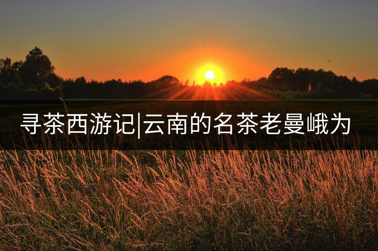 尋茶西游記|云南的名茶老曼峨為什么這么多人愛，這里...尋茶西游記｜云南的名茶老曼峨為什么這么多人愛，這里給你答案！