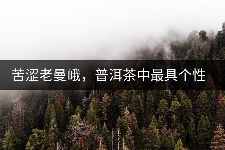 苦澀老曼峨，普洱茶中最具個性的“布朗味”苦澀老曼峨，普洱茶中最具個性的“布朗味”