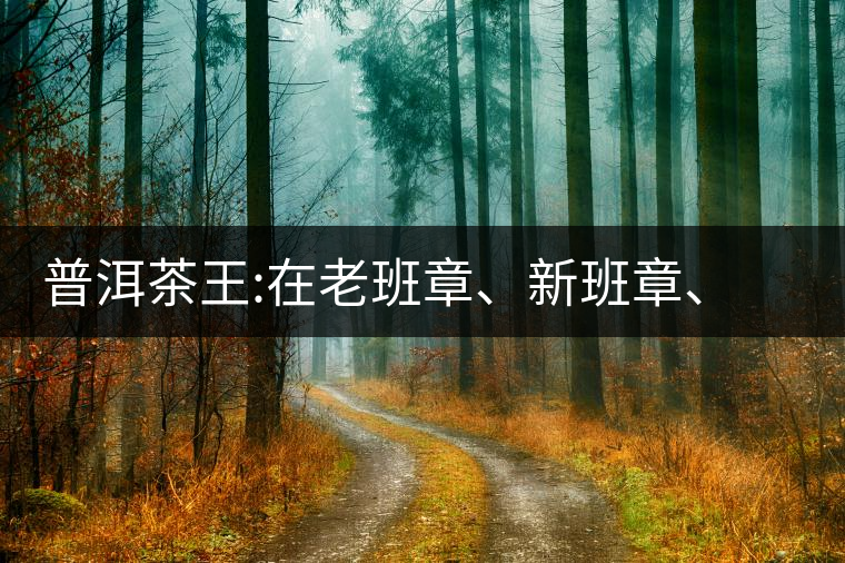 普洱茶王:在老班章、新班章、老曼峨之間普洱茶王：在老班章、新班章、老曼峨之間