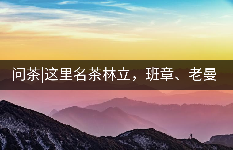 問茶|這里名茶林立，班章、老曼峨皆在其列!問茶｜這里名茶林立，班章、老曼峨皆在其列！