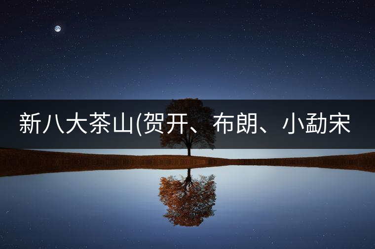 新八大茶山(賀開(kāi)、布朗、小勐宋、巴達(dá))講解二新八大茶山（賀開(kāi)、布朗、小勐宋、巴達(dá)）講解二