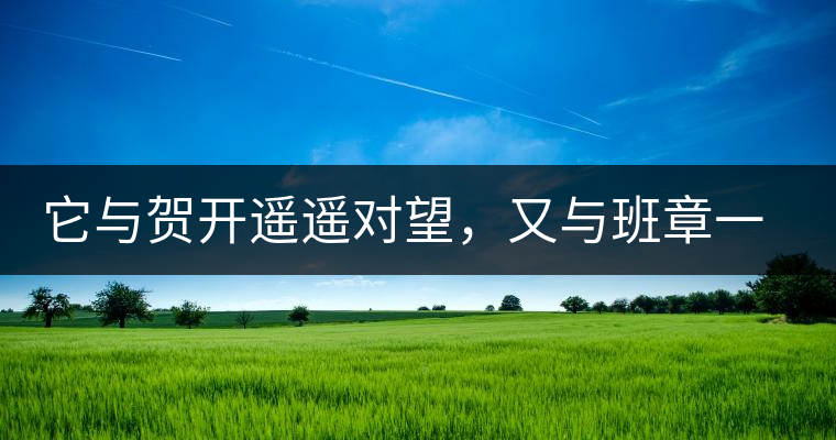 它與賀開遙遙對望，又與班章一衣帶水，它是班盆古樹春尖它與賀開遙遙對望，又與班章一衣帶水，它是班盆古樹春尖