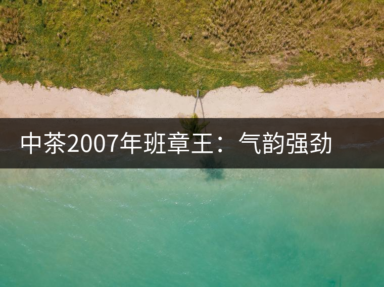 中茶2007年班章王：氣韻強(qiáng)勁，蜂蜜水般甜潤(rùn)，一直被老茶客撿漏