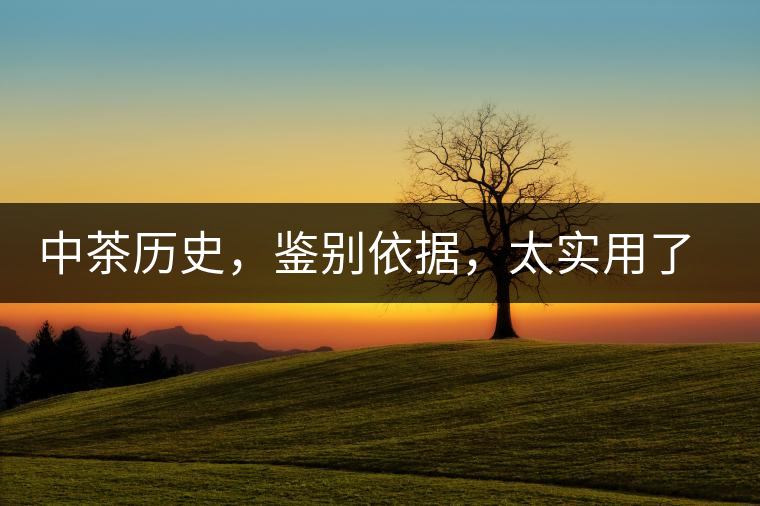 中茶歷史，鑒別依據(jù)，太實用了中茶歷史，鑒別依據(jù)，太實用了