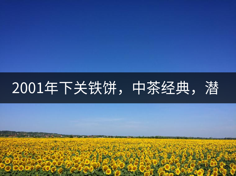 2001年下關(guān)鐵餅，中茶經(jīng)典，潛力可期!