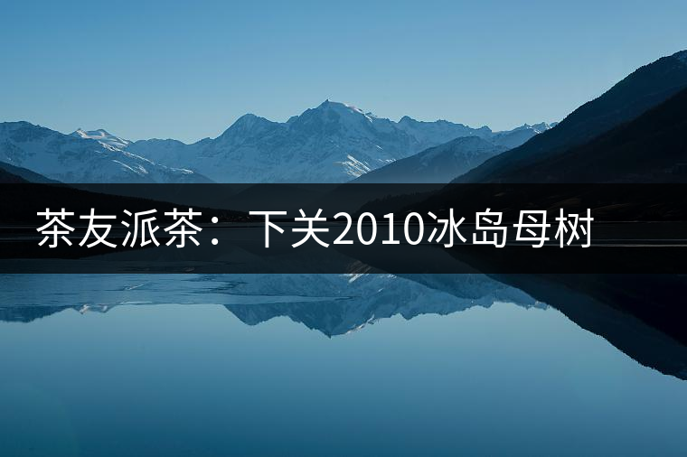 茶友派茶：下關(guān)2010冰島母樹，挺甜的，母樹是個什么概念？