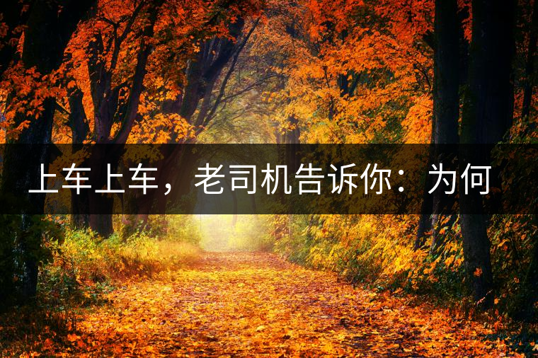 上車上車，老司機(jī)告訴你：為何明前茶貴如金