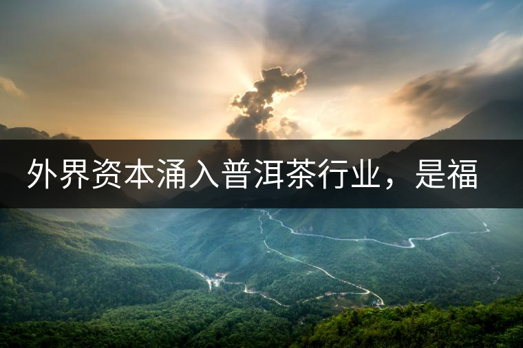 外界資本涌入普洱茶行業(yè)，是福還是禍？