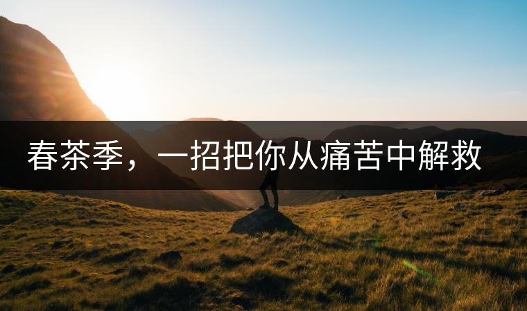 春茶季，一招把你從痛苦中解救出來