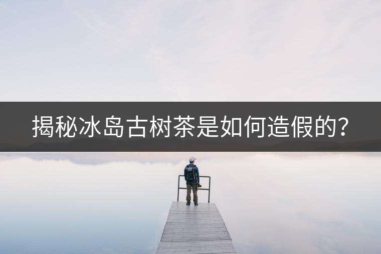 揭秘冰島古樹茶是如何造假的？