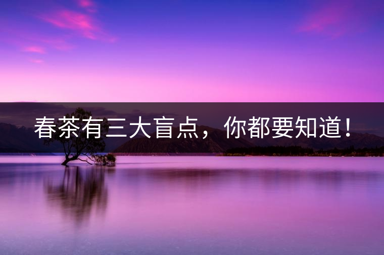 春茶有三大盲點，你都要知道！
