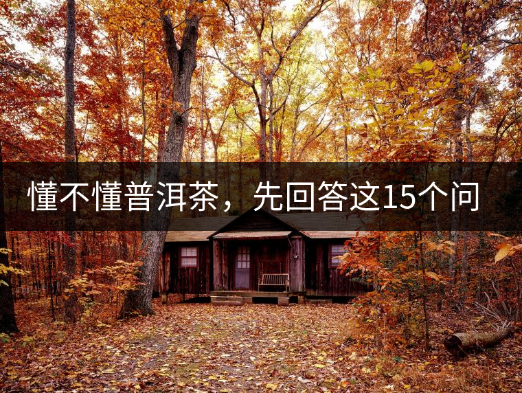 懂不懂普洱茶，先回答這15個問題試試？