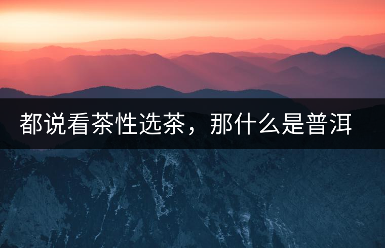 都說看茶性選茶，那什么是普洱茶的“茶性”呢？