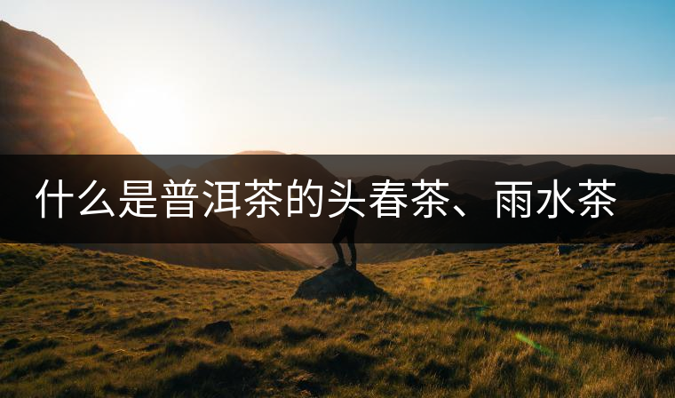 什么是普洱茶的頭春茶、雨水茶和谷花茶，怎樣區(qū)別？