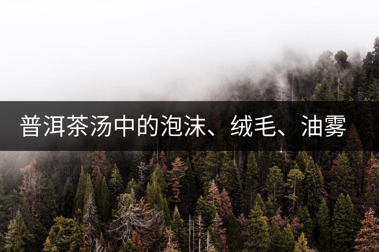 普洱茶湯中的泡沫、絨毛、油霧、絮狀物……原來是這些東西！