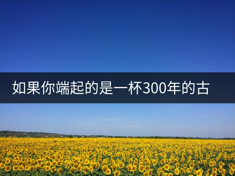 如果你端起的是一杯300年的古樹(shù)茶，那會(huì)是一種怎樣的心境？