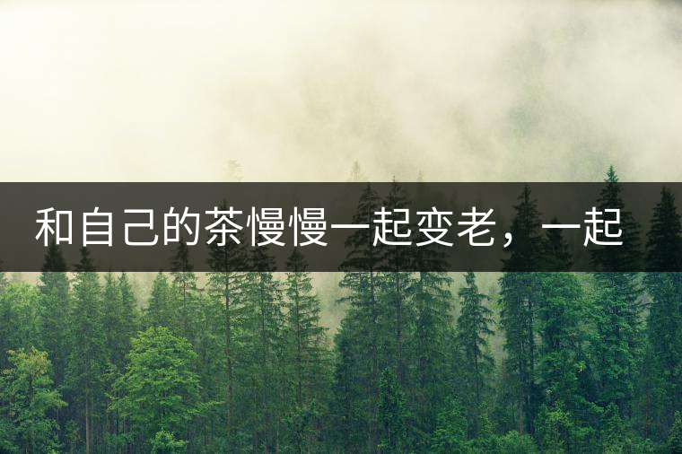 和自己的茶慢慢一起變老，一起變好