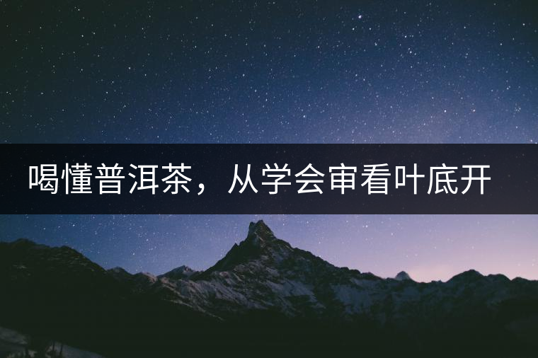 喝懂普洱茶，從學(xué)會審看葉底開始