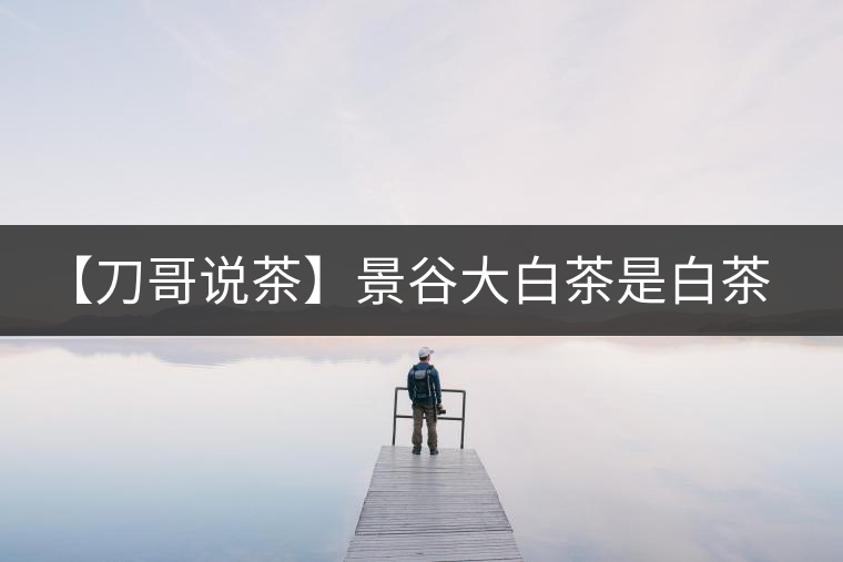 【刀哥說茶】景谷大白茶是白茶還是普洱茶？