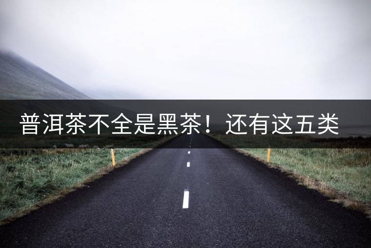 普洱茶不全是黑茶！還有這五類茶，現(xiàn)在知道還不算晚