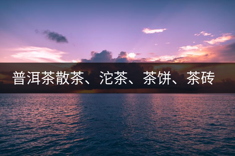 普洱茶散茶、沱茶、茶餅、茶磚哪種更好？