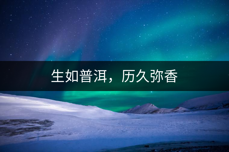 生如普洱，歷久彌香