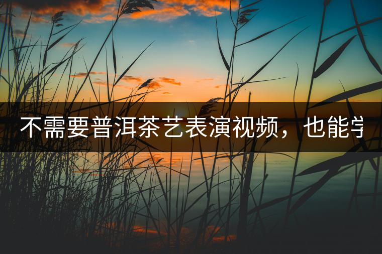 不需要普洱茶藝表演視頻，也能學(xué)會(huì)的茶藝！