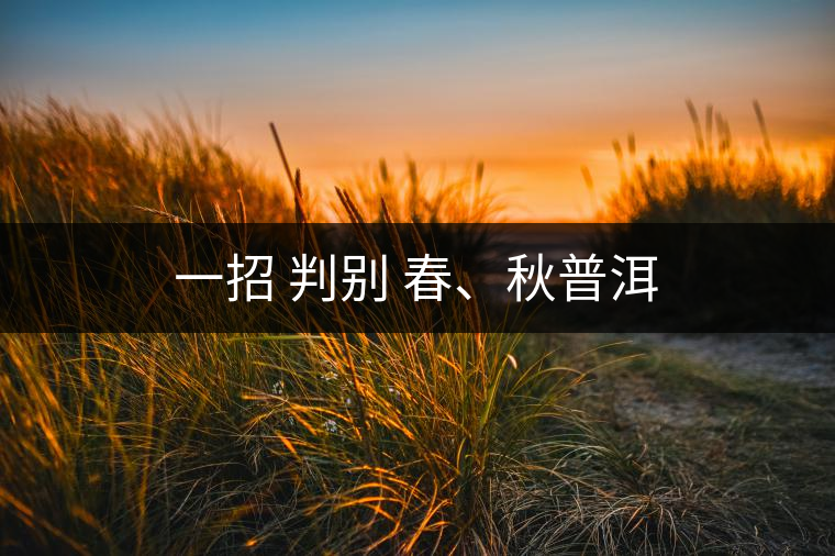 一招 判別 春、秋普洱