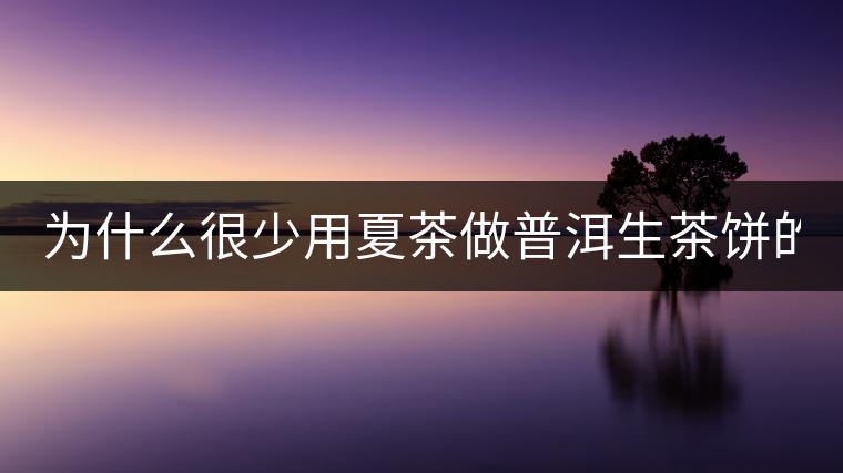 為什么很少用夏茶做普洱生茶餅的？