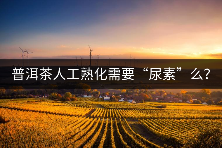 普洱茶人工熟化需要“尿素”么？