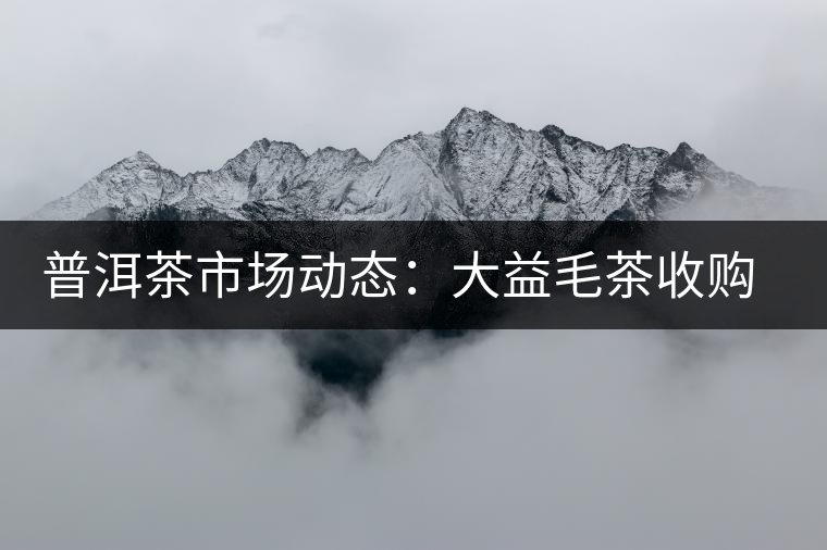 普洱茶市場(chǎng)動(dòng)態(tài)：大益毛茶收購價(jià)跌兩成？