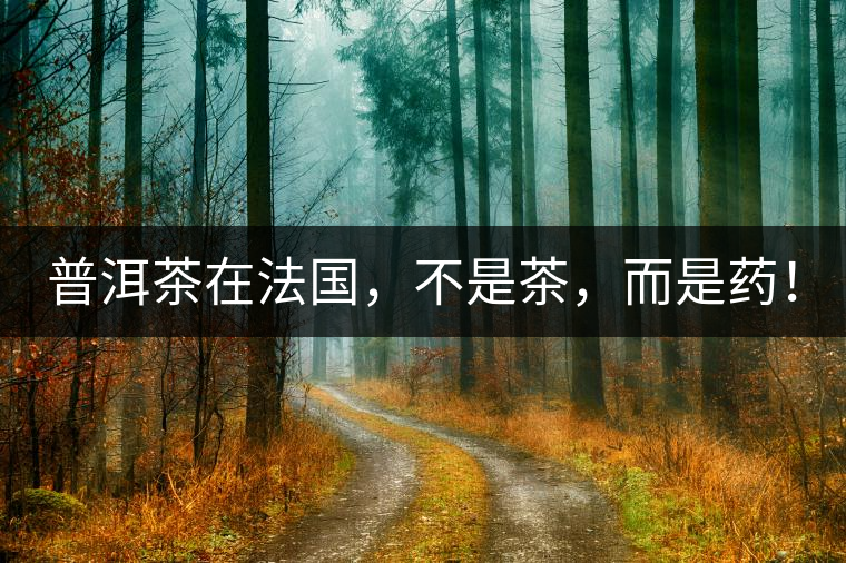 普洱茶在法國(guó)，不是茶，而是藥！