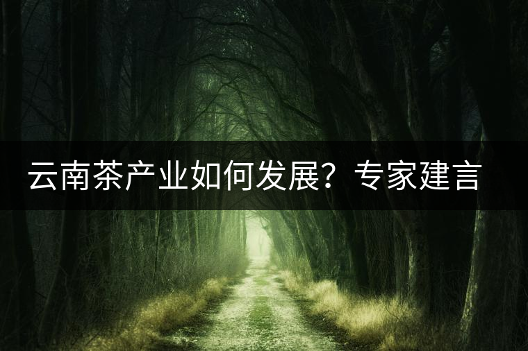 云南茶產(chǎn)業(yè)如何發(fā)展？專家建言：產(chǎn)業(yè)復興助脫貧