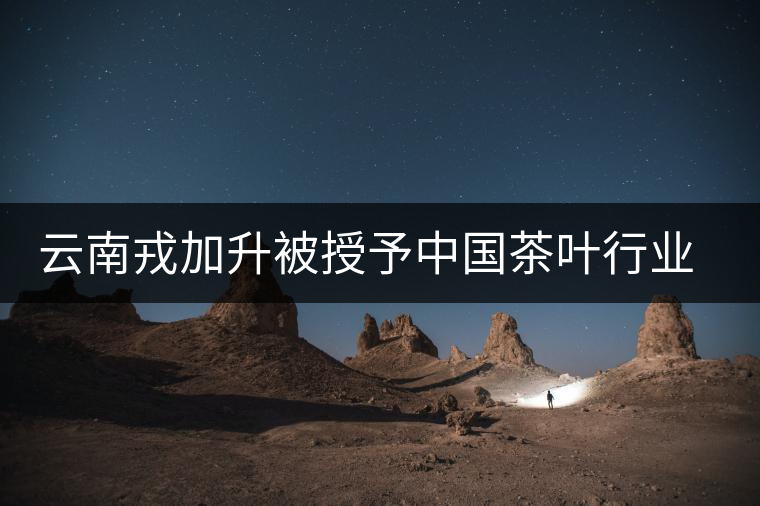 云南戎加升被授予中國茶葉行業(yè)終身成就獎 云南戎加升被授予中國茶葉行業(yè)終身成就獎