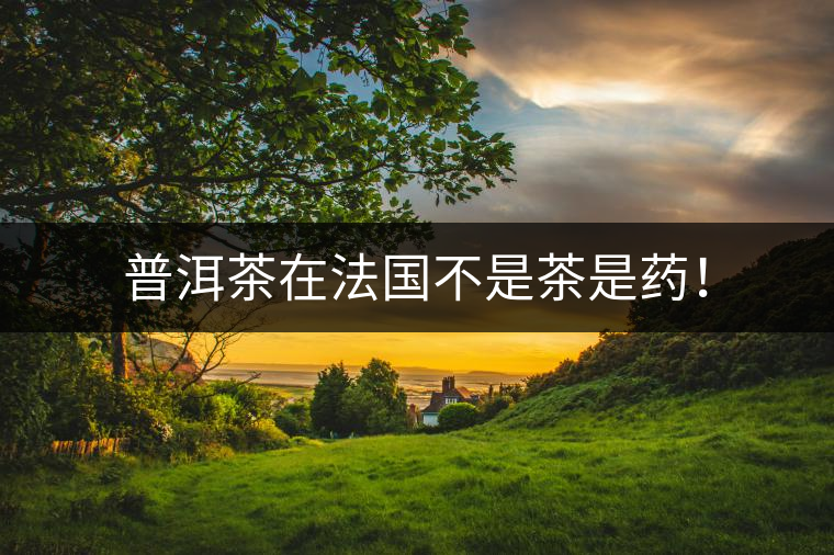 普洱茶在法國不是茶是藥！