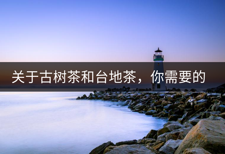 關(guān)于古樹茶和臺地茶，你需要的知識全在這里了